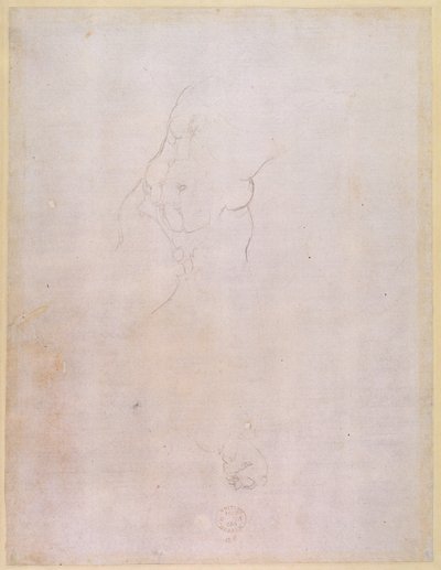 Studie van een mannelijk torso (verso) door Michelangelo Buonarroti